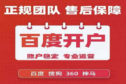 某行业领军企业的SEM广告投放策略